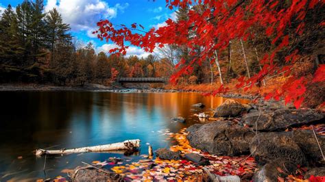 Autumn River Wallpapers - Top Free Autumn River Backgrounds ...