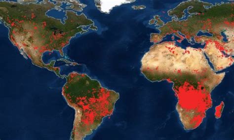 Maps of ongoing forest fires around the world are terrifying and Africa ...