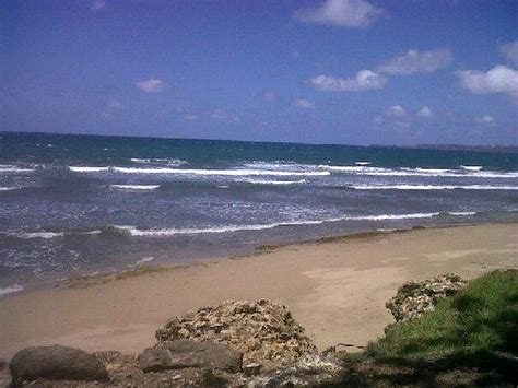 THE 15 BEST Things to Do in Aguada - 2024 (with Photos) - Tripadvisor