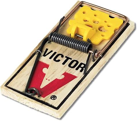 Amazon.com : Victor Rat Traps M326 (Pack of 2) : Patio, Lawn & Garden