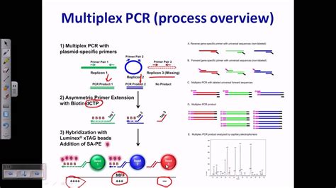 PCR types - YouTube