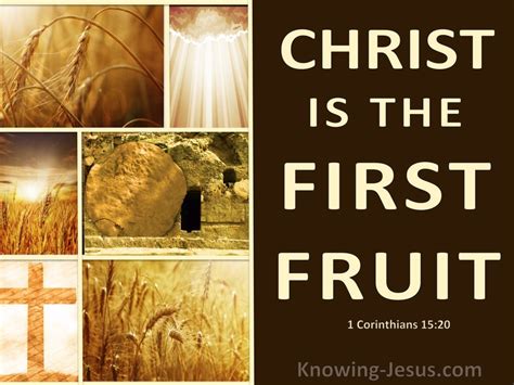 Blessed By The Lord: January 30, 2020 - THE FIRSTFRUITS