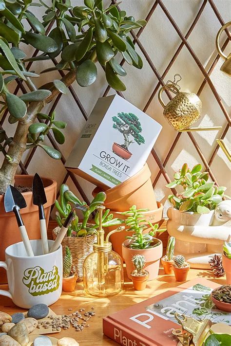 Grow It Bonsai Tree Kit | Urban Outfitters UK