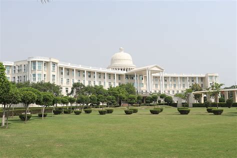 Noida International University – Changing the Educational Landscape ...