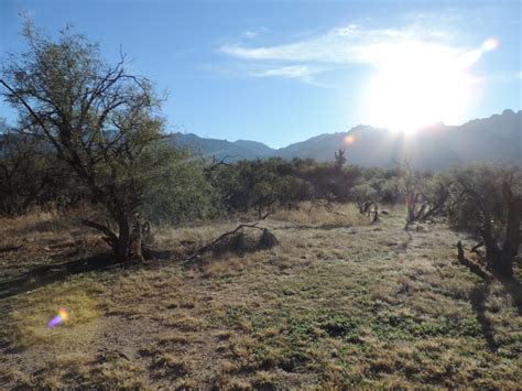 Catalina State Park Camping | The Dyrt