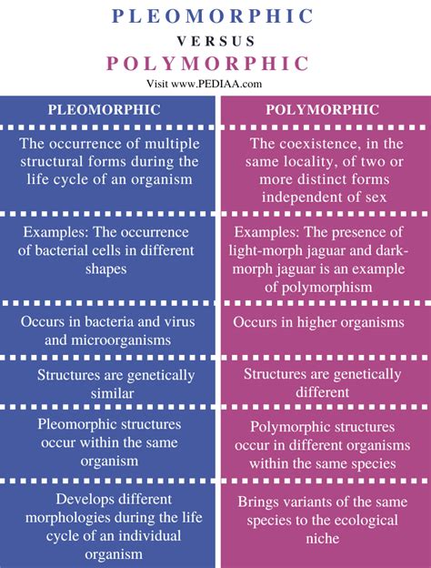 What is the Difference Between Pleomorphic and Polymorphic - Pediaa.Com