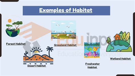 10 Examples of Habitat