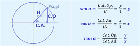 Círculo Unitario Y Función Seno