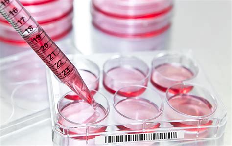 Labeling for Cell Culture - Labtag Blog