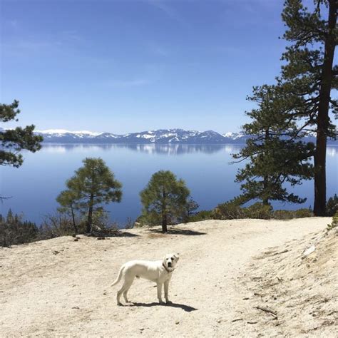 Tunnel Creek Trail | Lake Tahoe - The Simple Proof