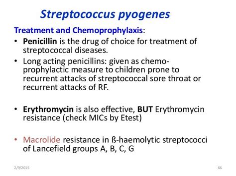 staphylococcus and streptococcus