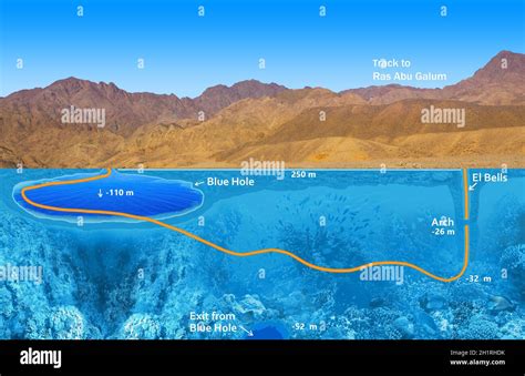 Vector Illustration about famous diving site - Blue Hole in Dahab ...