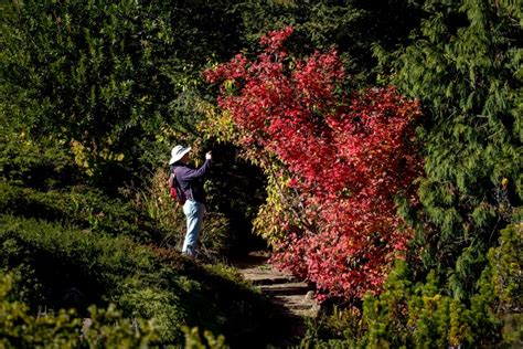 Photos: Fall in full swing as nature morphs color across Bay Area