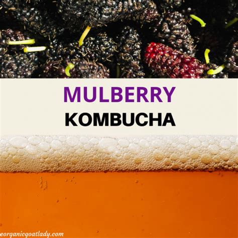 What to do with mulberries? 10 Easy Mulberry Recipes - Creative Simple ...