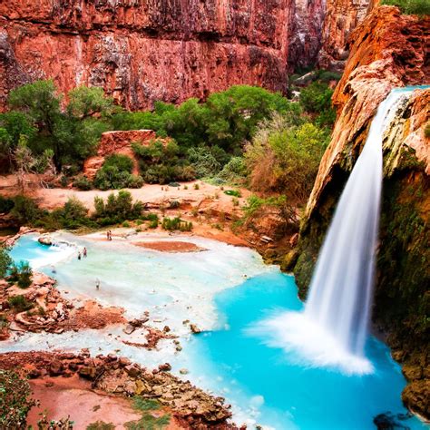 Havasu Falls, Grand Canyon, Arizona, USA | Havasu falls, Waterfall ...