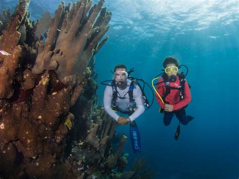 Andros Diving - All You Need to Know BEFORE You Go (with Photos)