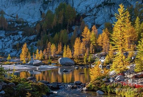 Enchantments Fall Colors Splendor Photograph by Mike Reid - Fine Art ...