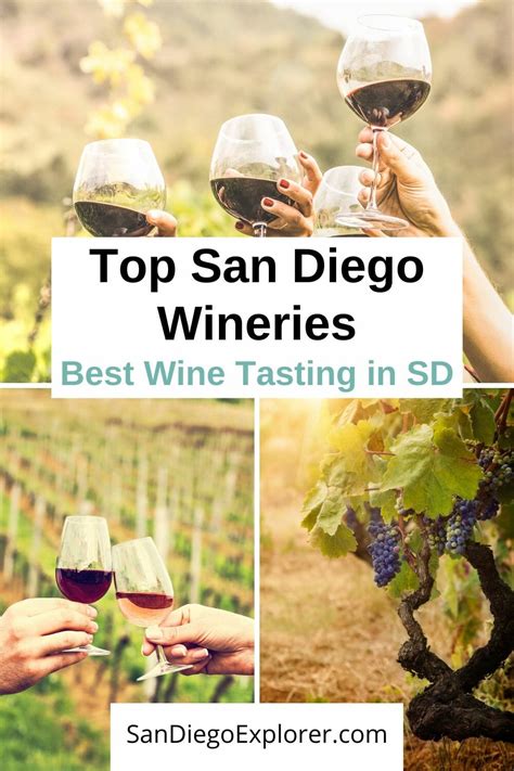 10 Best San Diego Wineries You MUST Try If You Love Wine