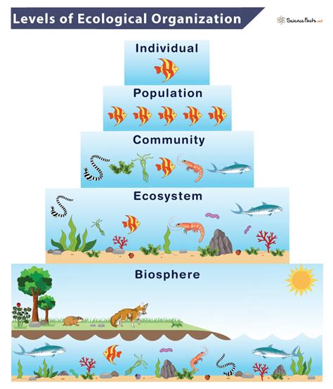 Geology - Science Facts