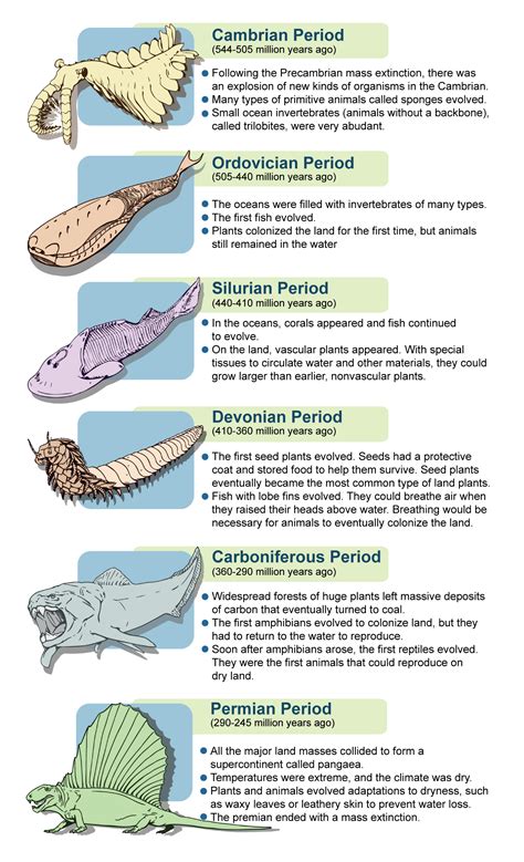 Devonian Animals - Devonian Fish Sidesteps Current Evolutionary Theory ...