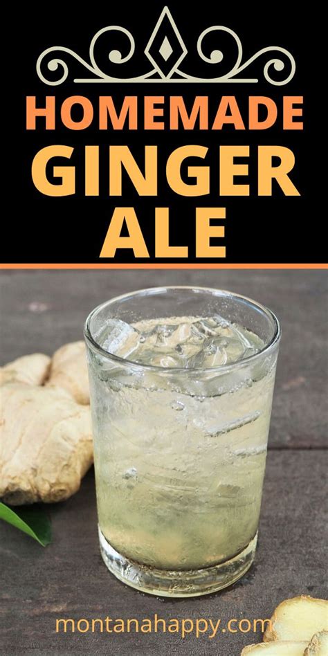 Homemade Ginger Ale | Homemade ginger ale, Ginger drink recipe, Cold ...