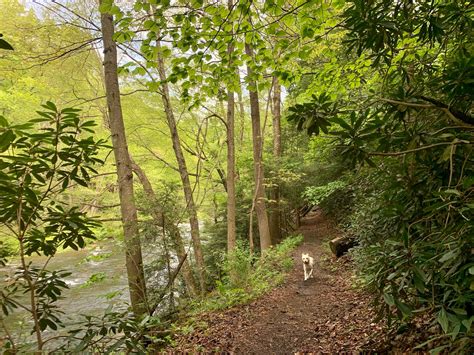 Savage River Bridge Loop - Garrett Trails