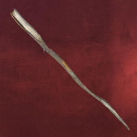 Gellert GRINDELWALD wand from Deathly Hallows - Harry Potter Photo ...