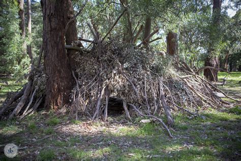 flora and fauna reserve, langwarrin — mamma knows south