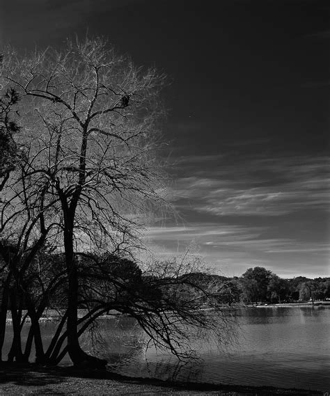 Lagoon Park. Picture of The Day: February 22, 2016 | by ON THE MARK ...