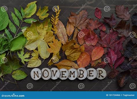 Colorful Autumn Leaves with Word NOVEMBER Stock Photo - Image of leaves ...