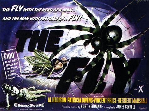 The Fly (1959) - Horror Movies Wallpaper (7085136) - Fanpop