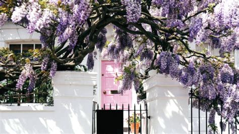 Things To Do In March In London - London Kensington Guide