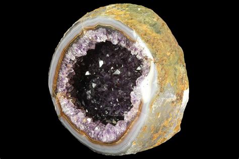 6.9" Purple Amethyst Geode - Uruguay For Sale (#83729) - FossilEra.com