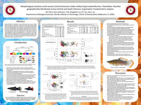 Collection Design Scientific Poster - chatorioles