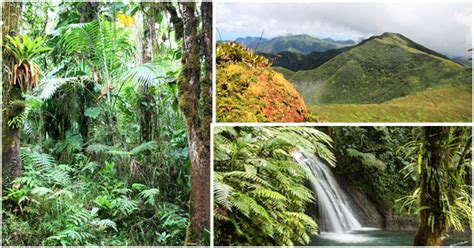 Guadeloupe National Park – Guadeloupe Travel – Afroculture.net