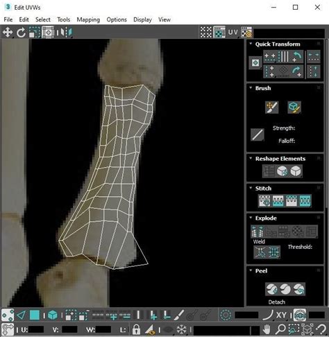 Hand Bones 3D model | CGTrader