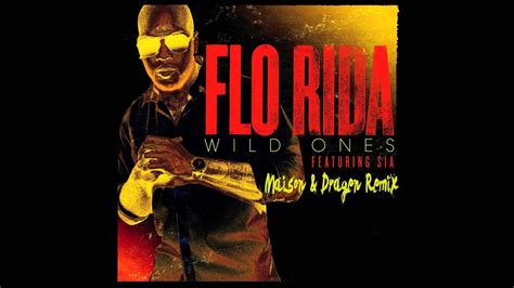 Flo Rida Ft. Sia - Wild Ones (Maison & Dragen Remix Edit) - YouTube