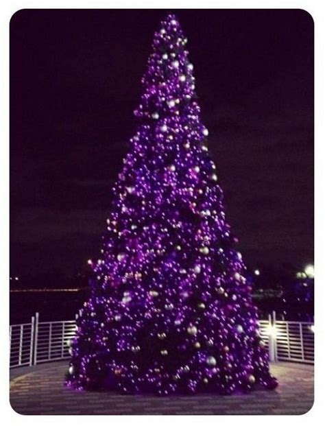 Purple Christmas Trees – Christmas Photos