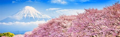 10-Day Japan Cherry Blossom Spring 2023 Mini-Group Highlights Tour