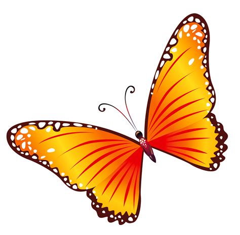 Free Transparent Butterfly Images, Download Free Transparent Butterfly ...