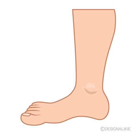 Leg Clip Art Free PNG Image｜Illustoon