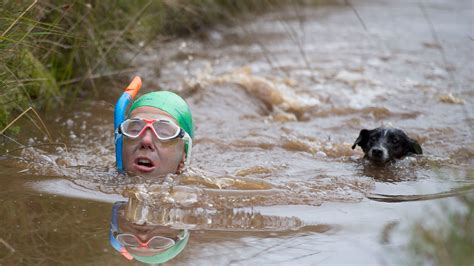 Bog snorkelling: better than chasing a wheel of cheese downhill | Advnture