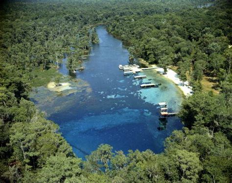 Welcome to Florida State Parks | Florida state parks, State parks ...