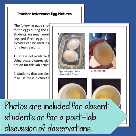 Osmosis Egg Lab Experiment - Suburban Science