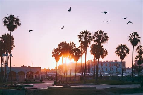 Venice Beach Los Angeles Wallpapers - Wallpaper Cave