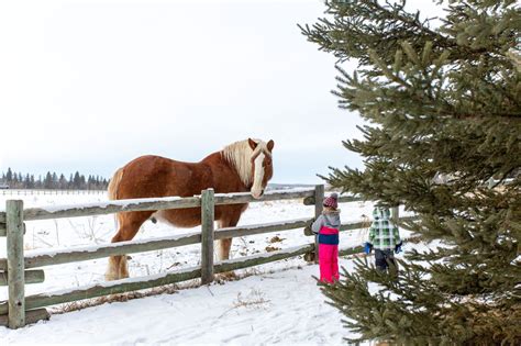 Visit Red Deer | Official Travel Website Red Deer, Alberta, Canada