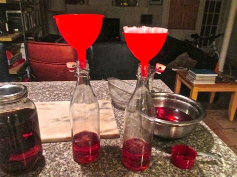 Slivovitz | Homemade liquor, Plum vodka, Boozy drinks