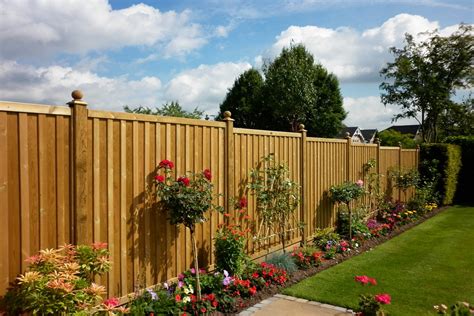 Fence Height Limits: What You Need to Know - catmags.com