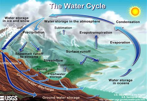 Ocean Geography ~ MarineBio Conservation Society