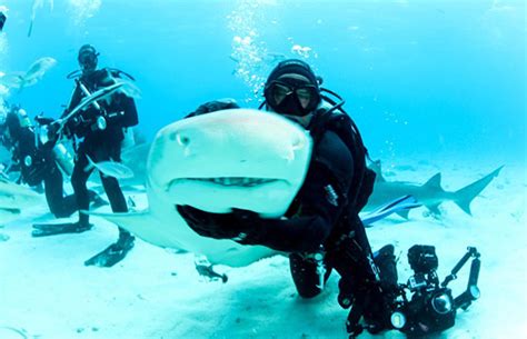 Man Goes on an Adventurous Scuba Diving Photo Shoot With Sharks | Complex